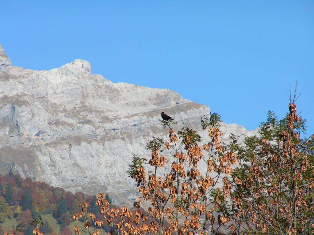 Chalet Narcisse Sixt-Fer-a-Cheval Номер фото