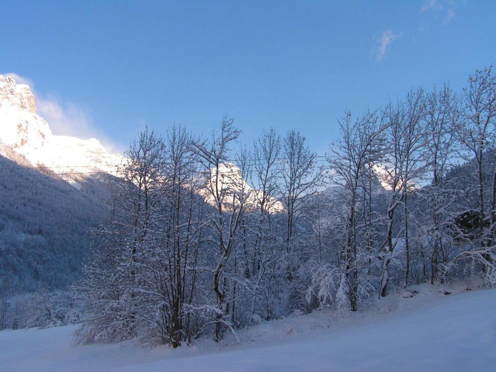 Chalet Narcisse Sixt-Fer-a-Cheval Номер фото